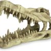 Декорация для террариумов, "Skull Krokodil", 25x11.2x15.2см