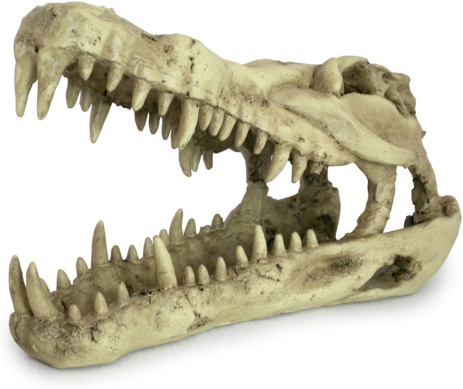 Декорация для террариумов, "Skull Krokodil", 25x11.2x15.2см